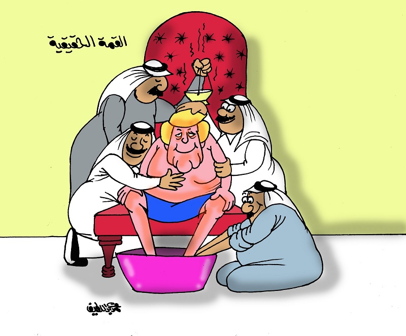 كاريكاتير محمد عبداللطيف: القمة الحقيقية