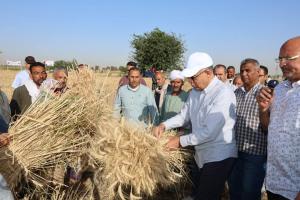 محافظ المنيا يشارك في حصاد القمح بالعدوة ويُكرم المزارعين والرائدات الريفيات ومهندسي الإرشاد