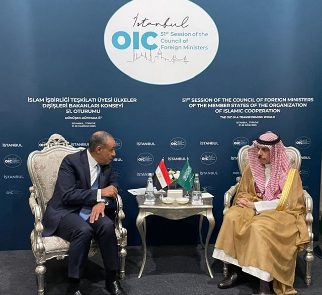 وزيرا خارجية مصر والسعودية يبحثان  تدشين مجلس التنسيق الأعلى وتعزيز الشراكة الاقتصادية والتكامل الصناعي