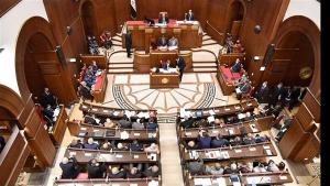 انتخابات مجلس الشيوخ: تخصيص يومي 4 و5 أغسطس لتصويت المصريين بالداخل

