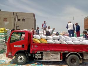 توريد أكثر من 25000 طن من الأقماح المحلية فى محافظة الأقصر

