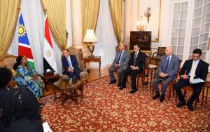 وزيرا خارجية مصر وناميبيا يبحثان تعزيز التعاون الاقتصادي والتنموي والتنسيق المشترك في القضايا الأفريقية والدولية
