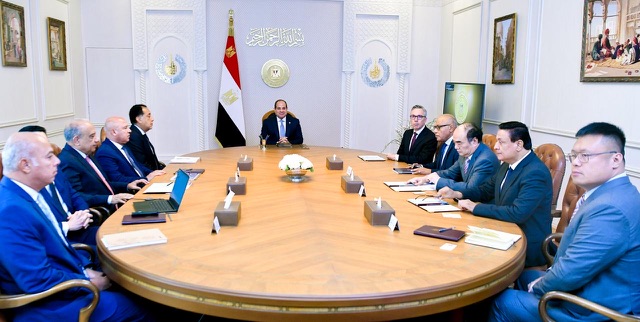 السيسي يبحث مع شركتي 