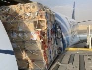 مصر للطيران للشحن الجوي تنجح في نقل شحنة حساسة من النحل الحي لأول مرة إلى مطار الباحة بالسعودية

