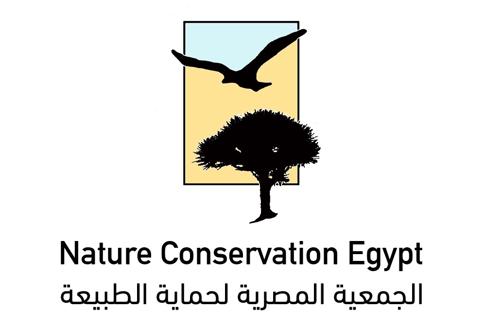 نجاح مبادرة حتى تعود الطيور قرار بمنع صيد الطيور فى بحيرة ناصر والوادى الجديد.

