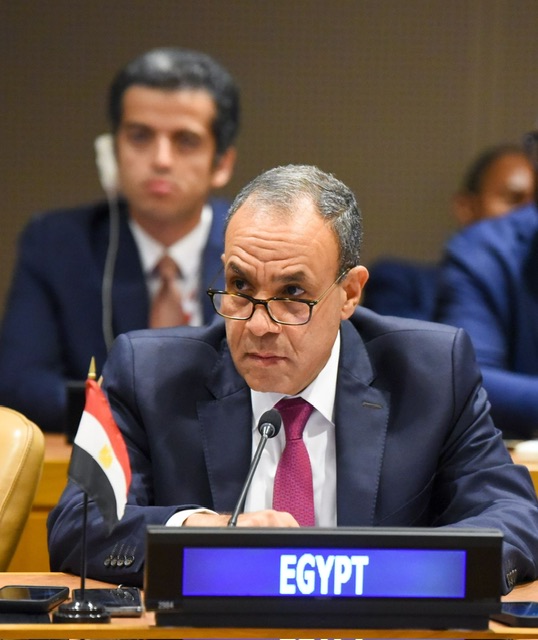 وزير الخارجية يشارك في جلسة أفريقية حول تعزيز جهود السلام وحل النزاعات