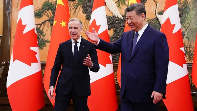 من قاعة الشعب إلى شراكة جديدة.. الصين وكندا تفتحان صفحة متجددة في العلاقات الاستراتيجية