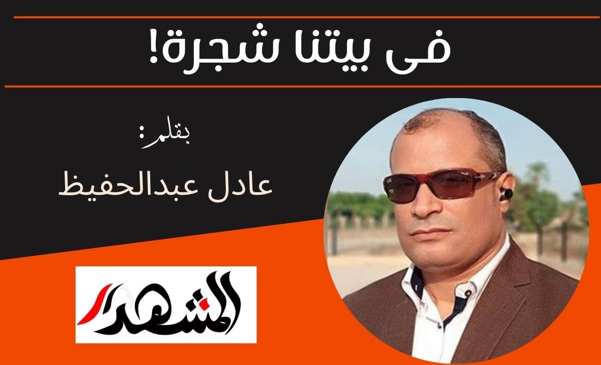 فى بيتنا شجرة!

