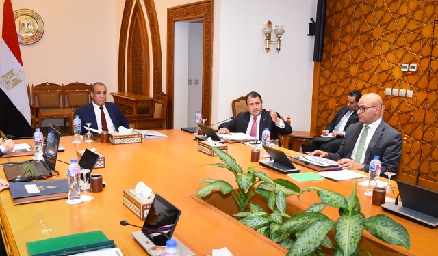 وزير الخارجية يؤكد أولوية الدائرة الإفريقية في السياسة الخارجية المصرية