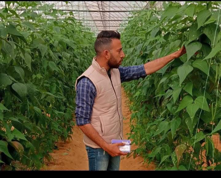 شركة صينية لتطوير الزراعة الذكية تختار المصري أيثر عمرو ممثلا إقليميا في شمال أفريقيا

