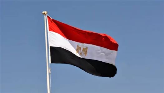 مصر تتقدم بخالص تعازيها لجمهورية نيجيريا  في ضحايا حادث تحطم طائرة عسكرية