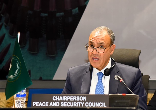 مصر تقود تحركاً أفريقياً داعماً لوحدة وسيادة كل من السودان والصومال 