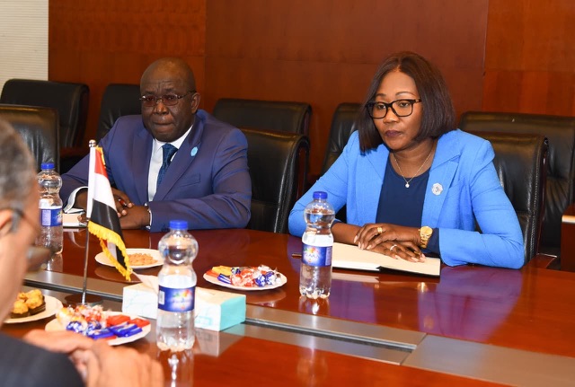 وزير الخارجية يؤكد دعم مصر للأمن والاستقرار في القارة الأفريقية