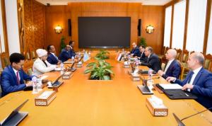 مشاورات مصرية - صومالية لدعم الشراكة الاستراتجية بين البلدين