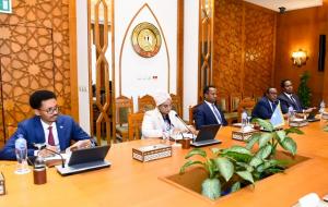 مشاورات مصرية - صومالية لدعم الشراكة الاستراتجية بين البلدين