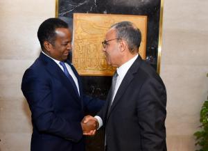 مشاورات مصرية - صومالية لدعم الشراكة الاستراتجية بين البلدين