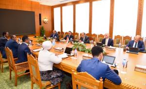 مشاورات مصرية - صومالية لدعم الشراكة الاستراتجية بين البلدين