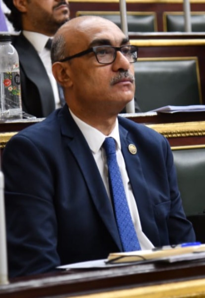 النائب ايهاب منصور : المعاشات وتكافل وكرامة 17 مليون مستفيد ( اجمالى 30 مليون مواطن )

