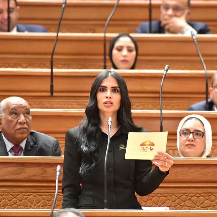 النائبة هايدي المغازي تطالب بإعادة النظر في نسب قبول أبناء المصريين بالخارج بالجامعات الحكومية