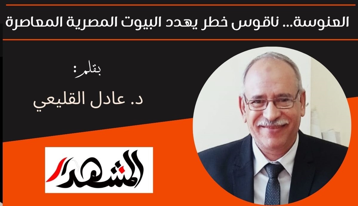 العنوسة... ناقوس خطر يهدد البيوت المصرية المعاصرة  