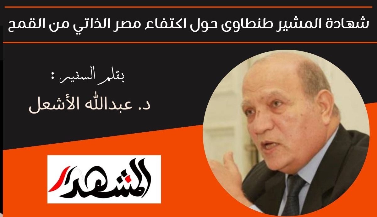 شهادة المشير طنطاوى حول اكتفاء مصر الذاتي من القمح 

