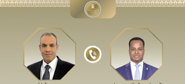 وزير الخارجية ونظيره الصومالي يبحثان تطورات الأوضاع بالصومال