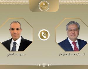 وزيرا خارجية مصر وباكستان يبحثان تعزيز التعاون الثنائي والتنسيق بشأن التطورات الإقليمية