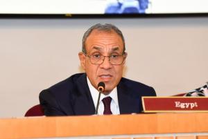 مصر تحقق تقدماً ملموساً في ملف الهجرة.. وتؤكد أهمية تضافر الجهود الدولية وتقاسم المسؤوليات

