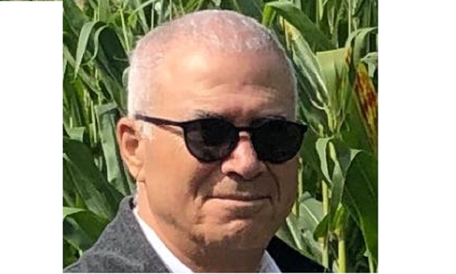 د. عادل السيد