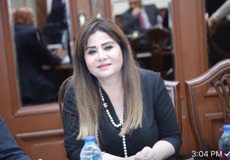 مساعد رئيس حزب الوفد تحذر من الدعوات المغرضة لأعداء الوطن