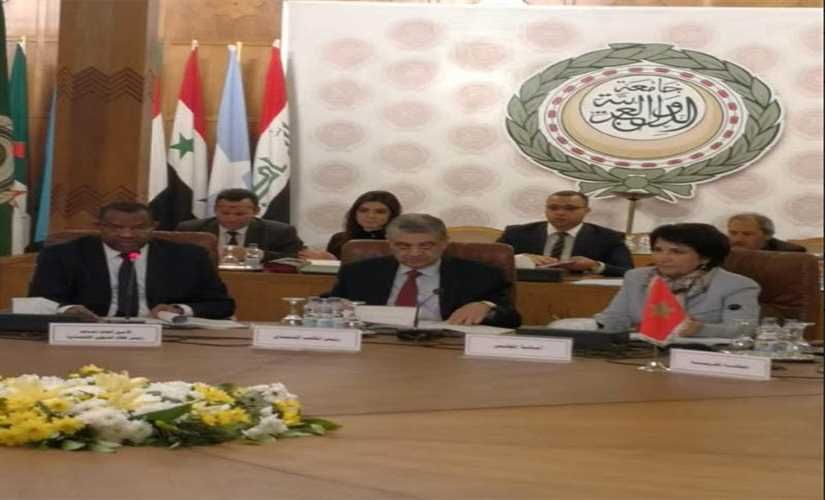 شاكر: الربط الكهربائي من أهم المشروعات التكاملية العربية.. و16 دولة وقعت اتفاقية السوق المشتركة 
