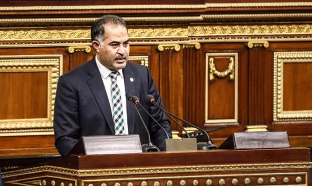وكيل البرلمان: السيسي أكثر رئيس عزز مكتسبات أصحاب الهمم