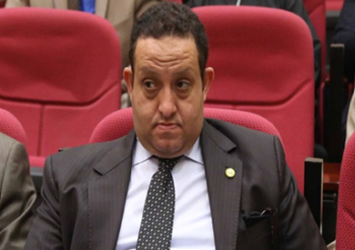 برلماني: الحفاظ على ليبيا أمن قومي لمصر
