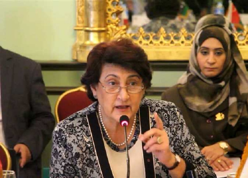 منظمة المرأة العربية تُشارك في مؤتمر المجلس النسائي اللبناني لمناقشة المشاركة السياسية والاقتصادية والحماية من العنف