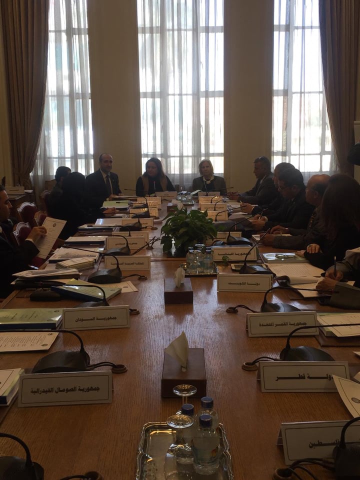 الجامعة العربية تناقش اطلاق الخطة الإعلامية للعقد العربي لمحو الأمية وآليات تنفيذية