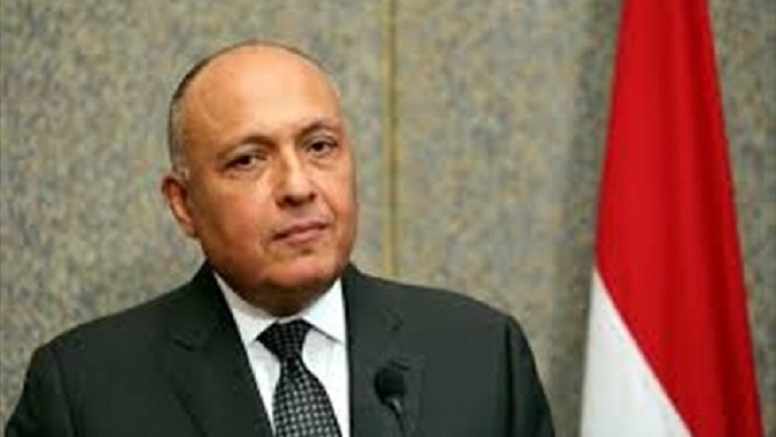 شكري في رده على وقاحات أردوغان: 