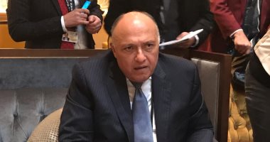 الخارجية: مصر تفوز باستضافة وكالة الفضاء الأفريقية