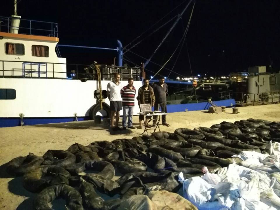 القوات البحرية تنجح في إحباط محاولة تهريب ٨ طن من جوهر الحشيش المخدر 