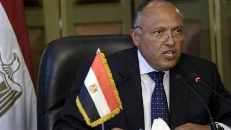 شكري: لا مجال للاستقواء بأطراف إقليمية لفرض الأمر الواقع بالقوة في الدول التي تشهد صراعات ونزاعات مسلحة