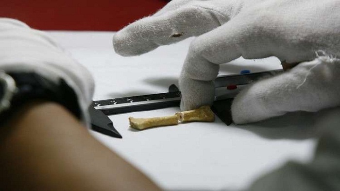 علماء الأثار يعثرون على رفات نوع من البشر 