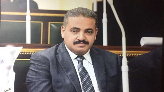 برلماني: التعديلات الدستورية تحافظ على استقرار مصر