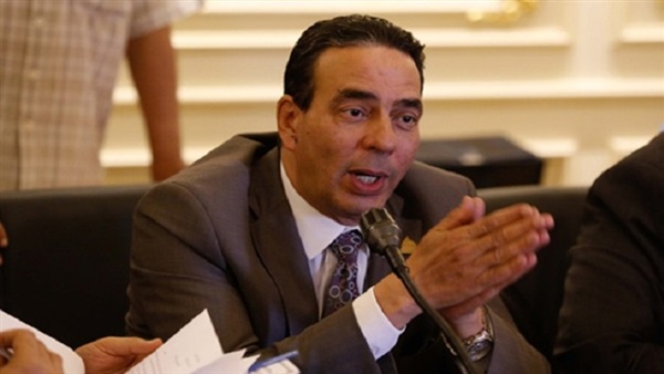 برلماني يدعو المصريين للمشاركة بقوة في الاستفتاء على تعديلات الدستور