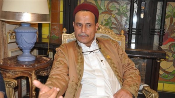 برلماني: عبدالعال قام بدور تاريخي خلال زيارته للدول الأفريقية