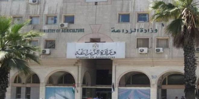 وزير الزراعة يقرر نقل 