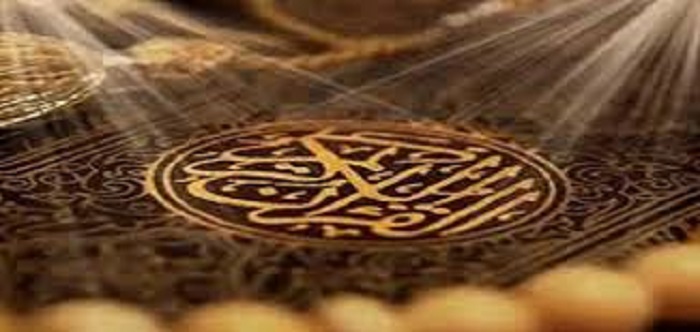 القضاء الادارى 