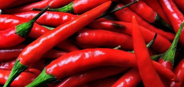 خبراء التغذية يحددون خمس أصناف من الطعام لحرق الدهون وامتناع تراكمها