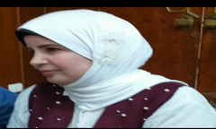 خطه شامله فى 