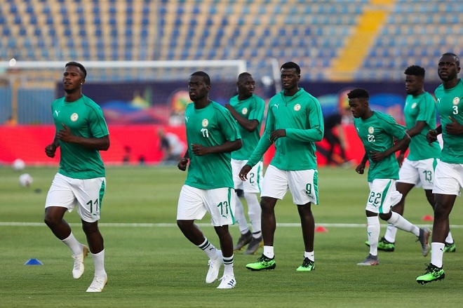 ضيوف: التنظيم ممتاز.. نحن محظوظون بوجود هذه الملاعب