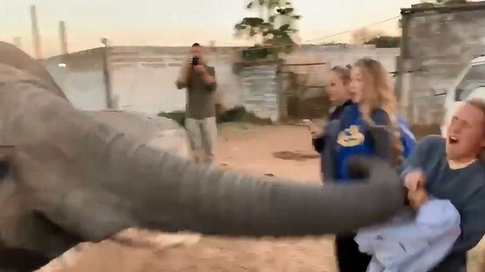 بالفيديو حاولت مداعبته وتصويره فصفعها بثقل 130 كيلو غرام