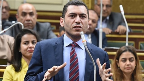 وكيل صناعة النواب: السيسي يحمل على عاتقه قضايا القارة الأفريقية